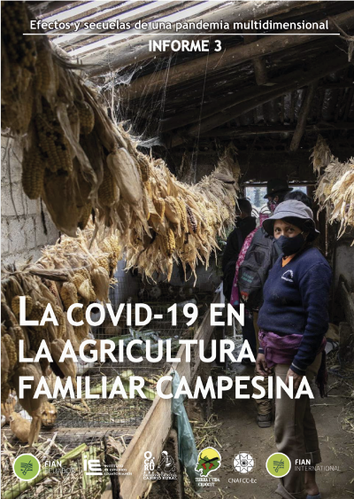 La COVID-19 en la agricultura familiar campesina. Efectos y secuelas de una pandemia multidimensional
