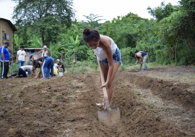 El complejo empresarial agroindustrial  y financiero: Un nuevo escenario para las luchas campesinas