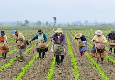 Demandas por la tierra de las organizaciones campesinas en Ecuador