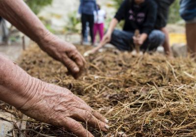 Covid-19: la enfermedad de la dependencia en el agro ecuatoriano.