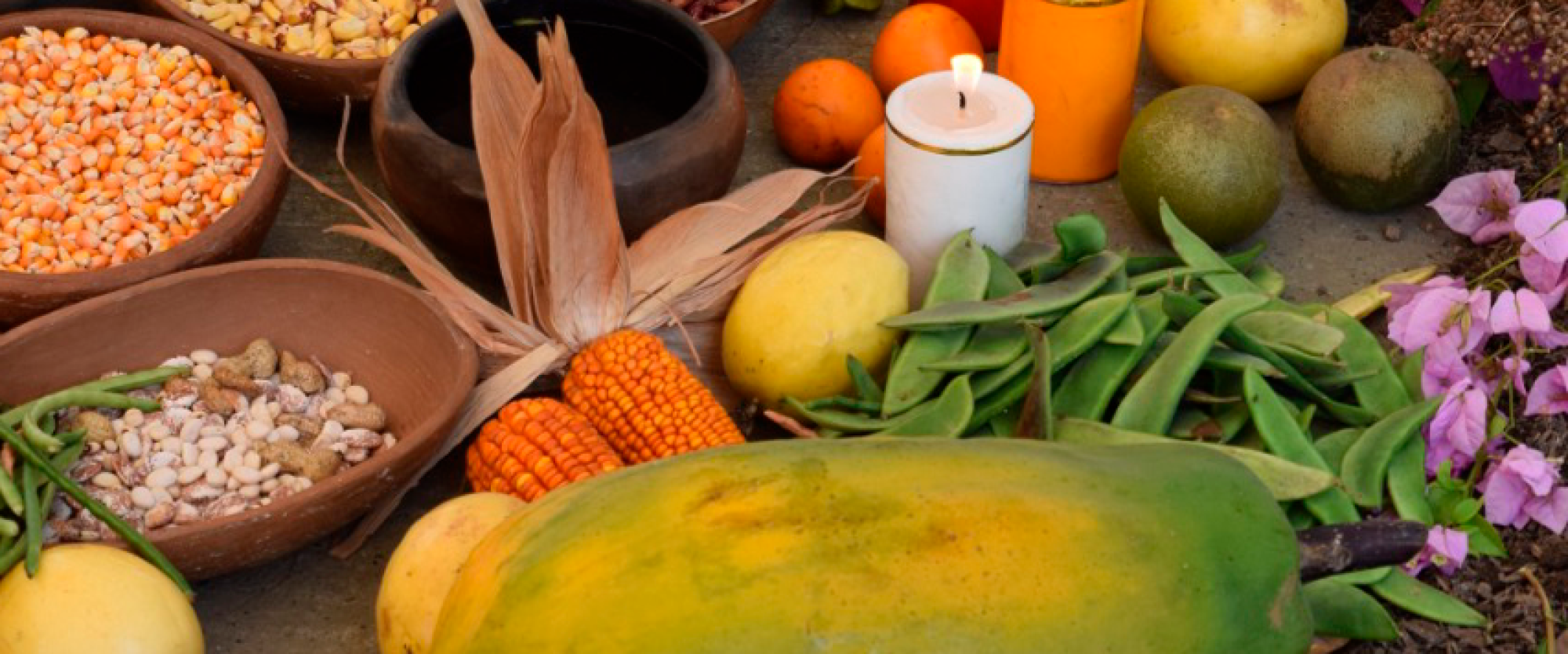 Elecciones 2021: ¿Recetas distintas y proyectos similares para el agro?